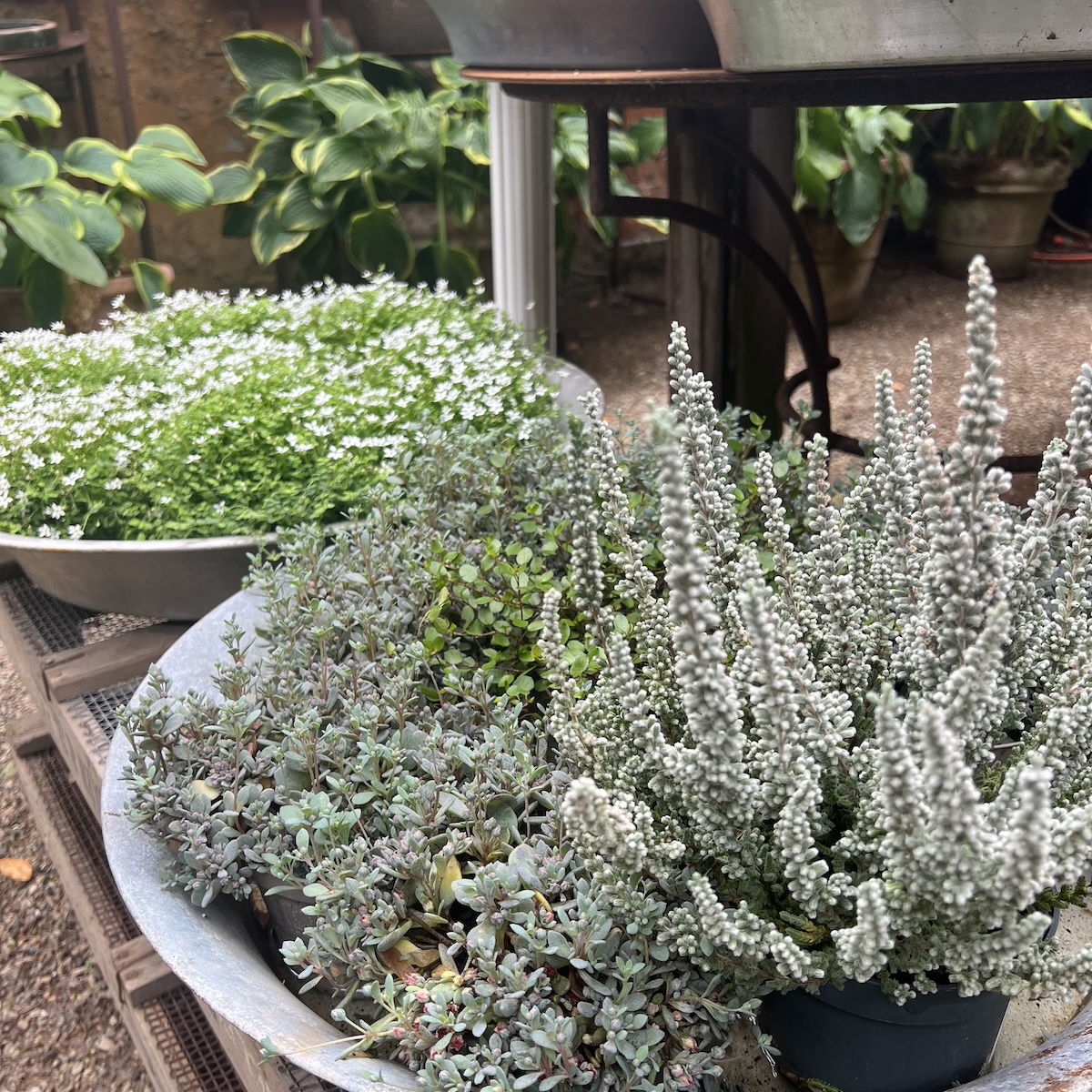 Jan Munch Blomster Gården 1